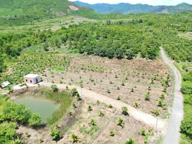 Bán đất thôn Cẩm Sơn Huyện Diên Khánh, Khánh Hòa – giá 490 triệu