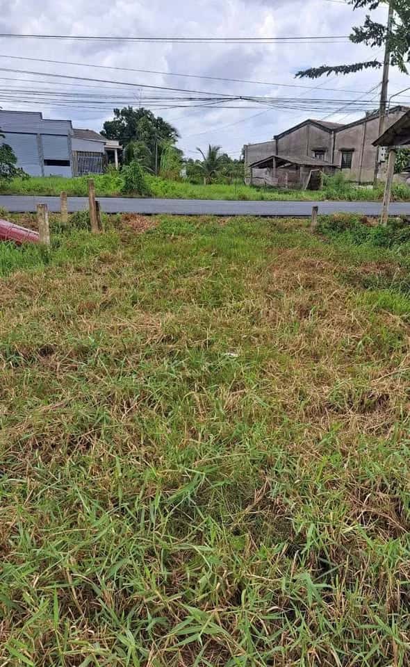 Bán đất đường Lộ Dừa Huyện Châu Thành, Long An – giá 1.4 tỷ