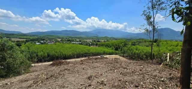 Bán đất thôn Cà Hon Huyện Khánh Vĩnh, Khánh Hòa – giá 240 triệu