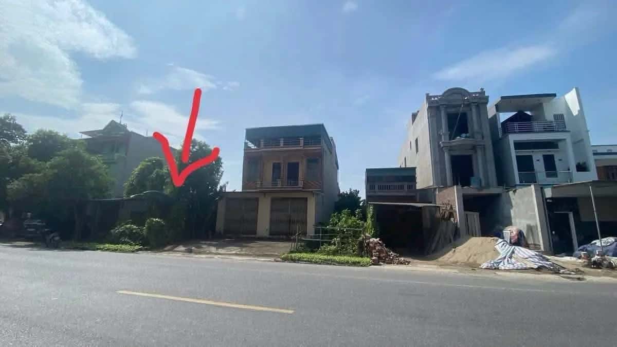 Bán đất Quốc lộ 38 Huyện Cẩm Giàng, Hải Dương – giá 3.2 tỷ