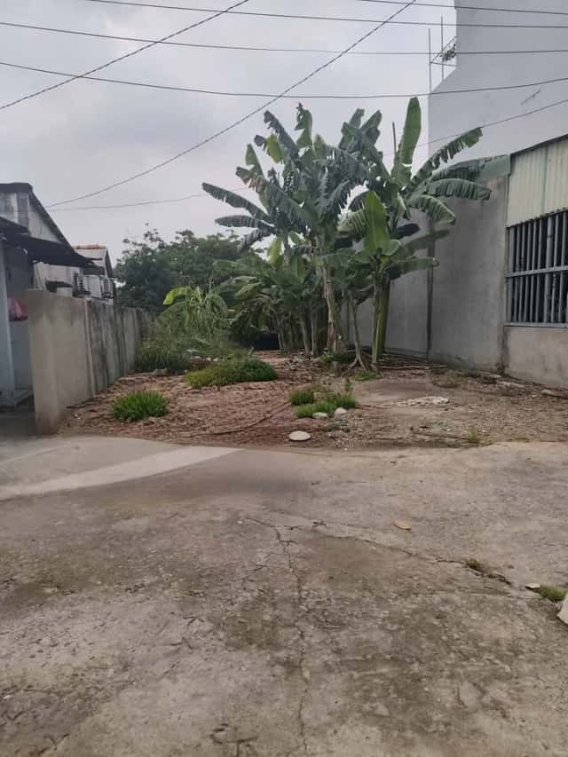 Bán đất An Thạnh 57  Thành phố Thuận An, Bình Dương – giá 2.4 tỷ