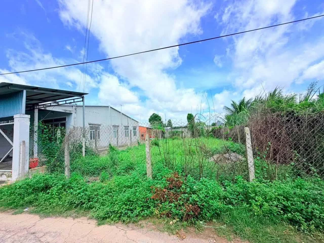 Bán đất hẻm quốc lộ 22, Ấp Trâm Vàng 2 Huyện Gò Dầu, Tây Ninh – giá 1.4 tỷ