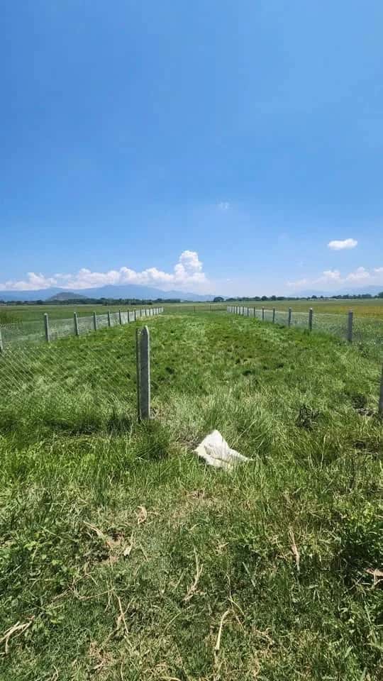 Bán đất hẻm Phan Đăng Lưu  Thành phố Phan Rang-Tháp Chàm, Ninh Thuận – giá 450 triệu