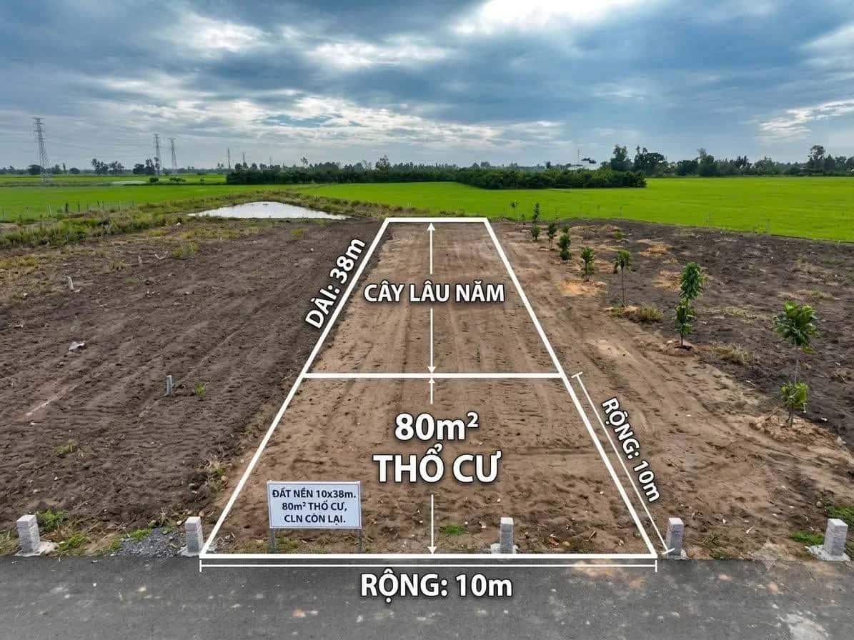 Bán đất kênh Bà Xã Năm, Ấp Thạnh Phước  Huyện Cờ Đỏ, TP. Cần Thơ – giá 650 triệu