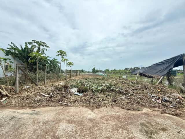 Bán đất Võ Thị Tốt Huyện Cần Giuộc, Long An – giá 880 triệu