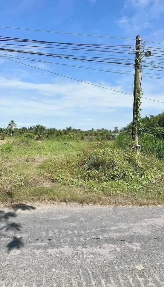 Bán đất Phạm Văn Thành Thành phố Tân An, Long An – giá 3.5 tỷ