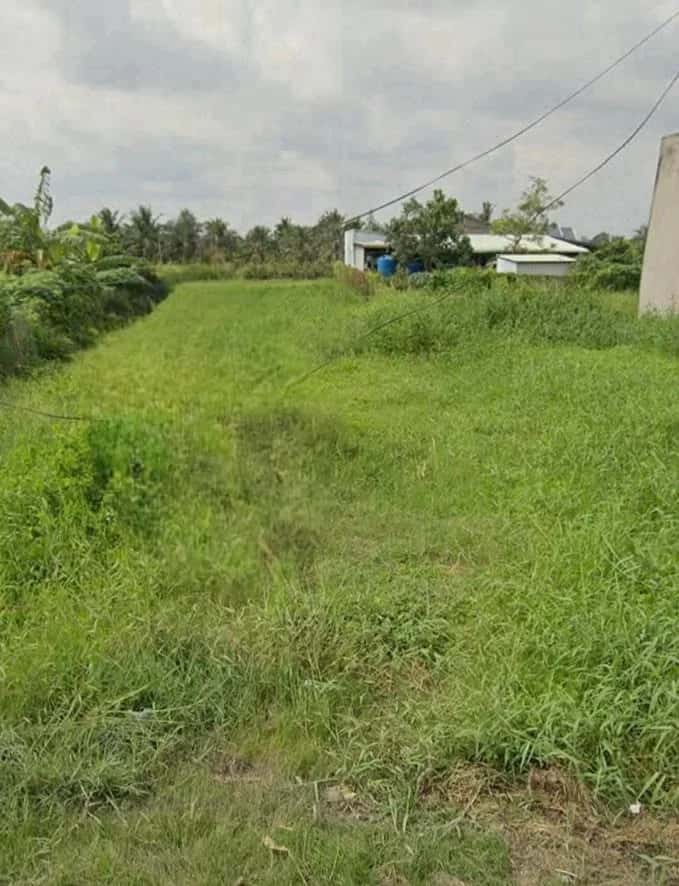 Bán đất Đăng Mỹ Huyện Tân Trụ, Long An – giá 900 triệu