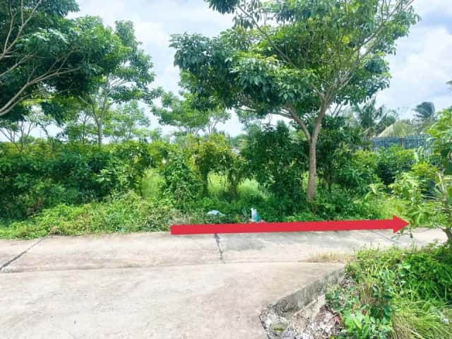 Bán đất hẻm đường Lê Văn Tưởng Thành phố Tân An, Long An – giá 550 triệu