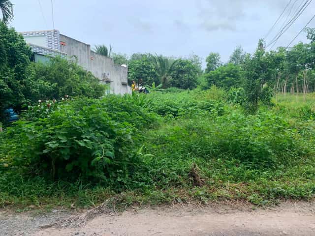 Bán đất Ấp Rộc A Huyện Gò Dầu, Tây Ninh – giá 420 triệu