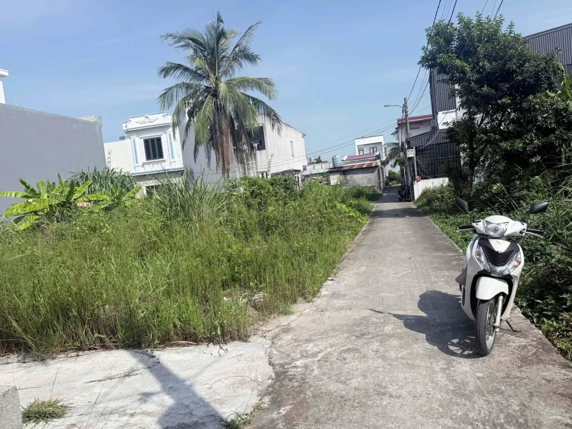 Bán đất Bình Minh Quận Đồ Sơn, TP. Hải Phòng – giá 799 triệu