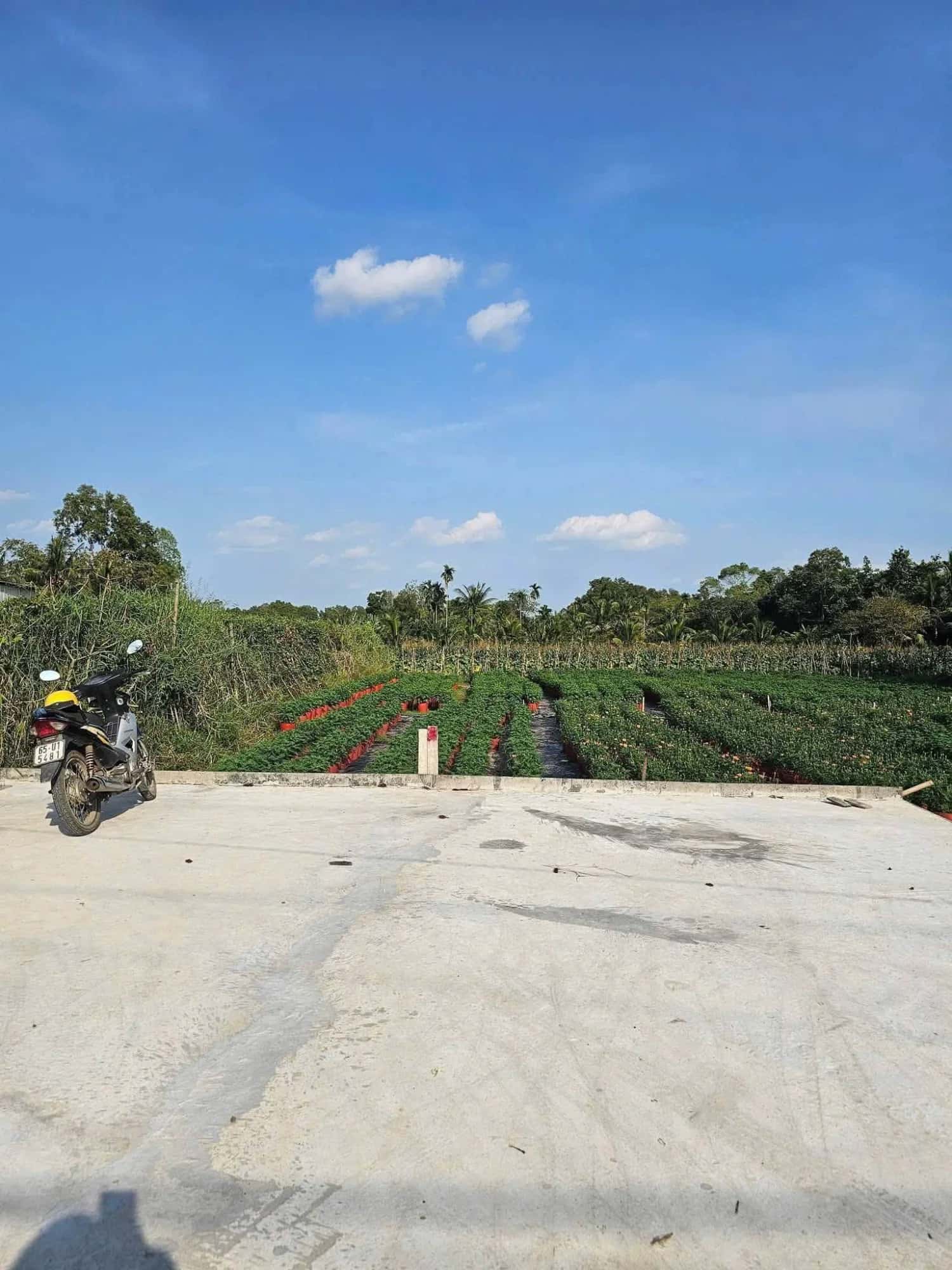 Bán đất Nguyễn Viết Xuân  Quận Bình Thuỷ, TP. Cần Thơ – giá 1.4 tỷ