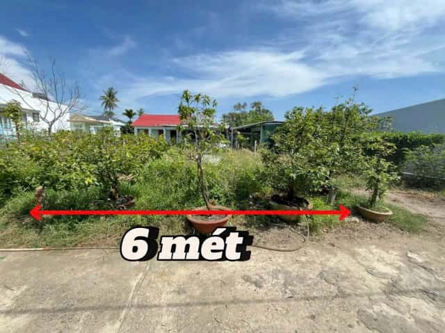 Bán đất Thôn Trung Nam Huyện Diên Khánh, Khánh Hòa – giá 1.3 tỷ