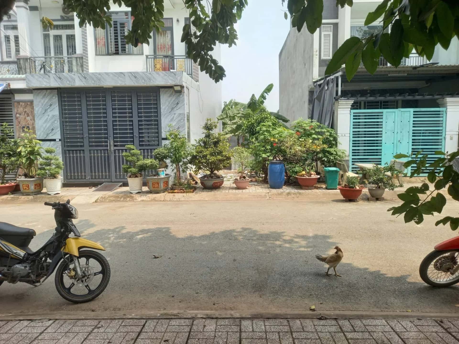 Bán đất đường số 6 KDC Cát Tường Phú Nguyên 2 Huyện Đức Hòa, Long An – giá 1.7 tỷ