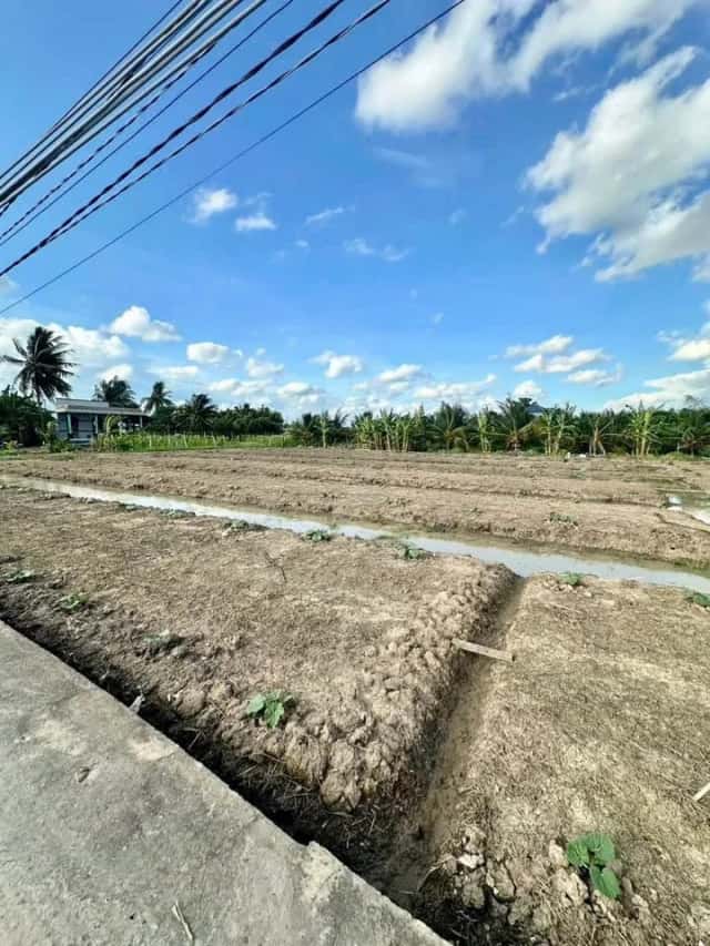 Bán đất hẻm Lê Văn Cảng Thành phố Tân An, Long An – giá 1.3 tỷ