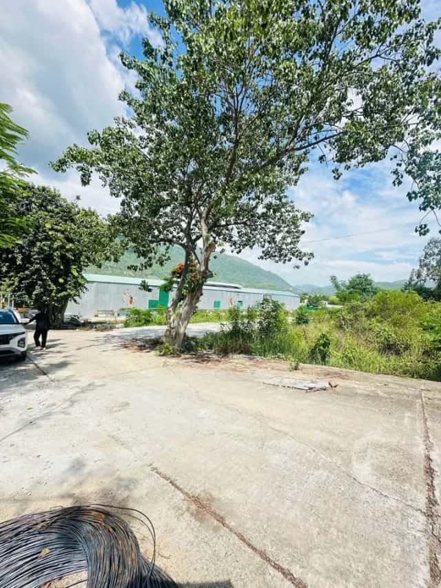 Bán đất thôn Phước Hạ Thành phố Nha Trang, Khánh Hòa – giá 1.9 tỷ