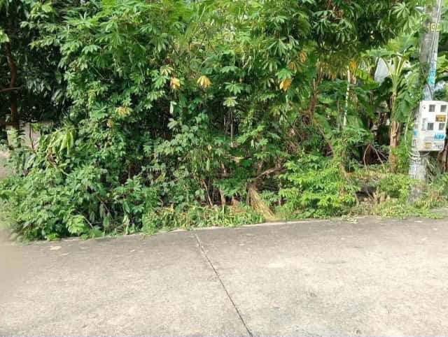 Bán đất Phú An 39 Thành phố Bến Cát, Bình Dương – giá 1.4 tỷ