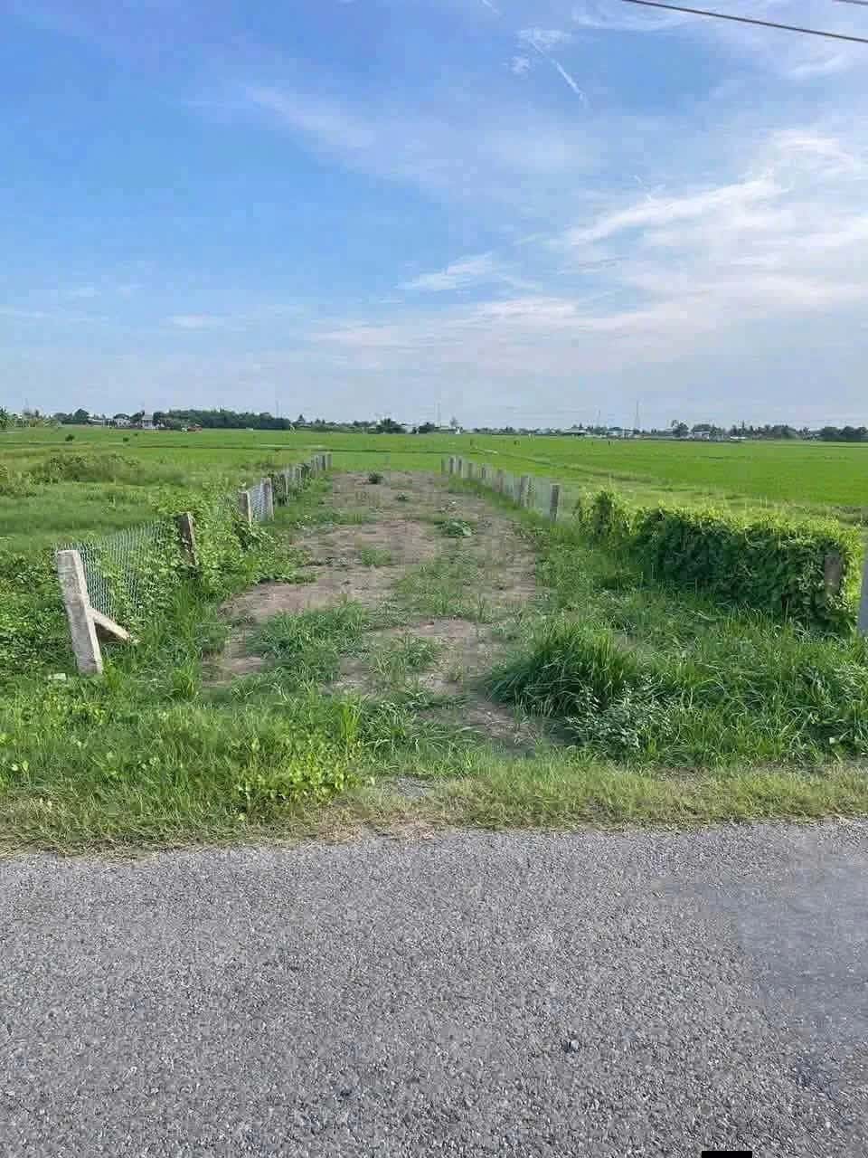 Bán đất Nguyễn Thị Lầu Huyện Tân Trụ, Long An – giá 549 triệu