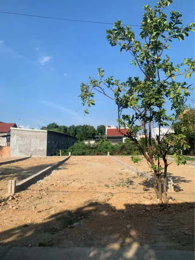 Bán đất thôn Đại Điền Đông 1, đường Đồng khởi Huyện Diên Khánh, Khánh Hòa – giá 1.3 tỷ