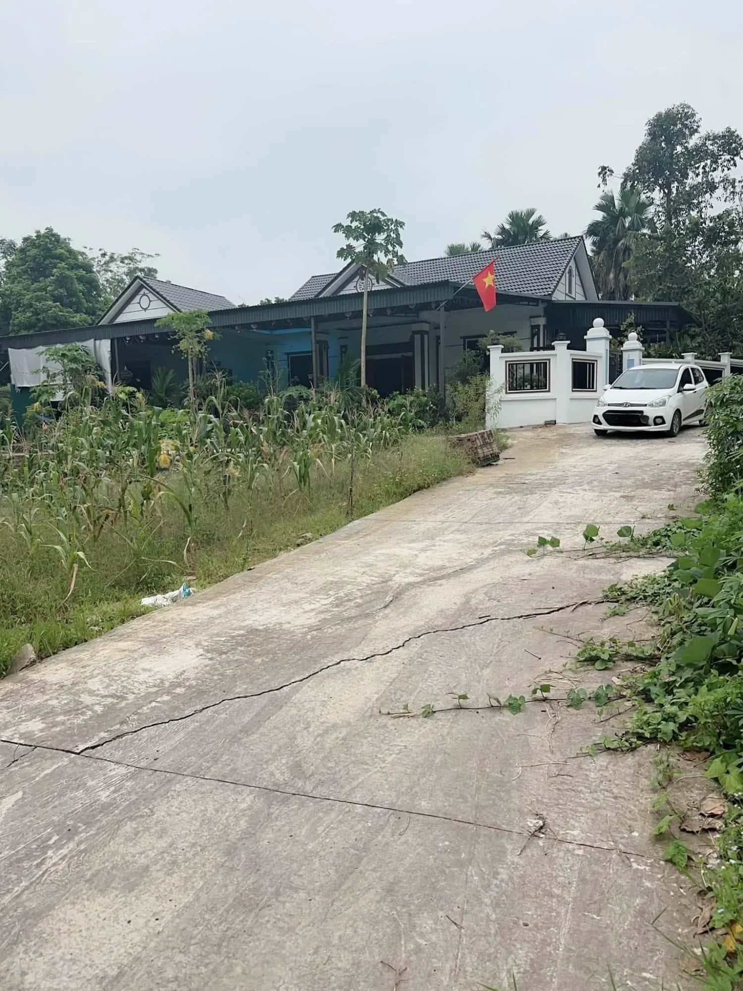 Bán đất Khu 6 Thị xã Phú Thọ, Phú Thọ – giá 450 triệu