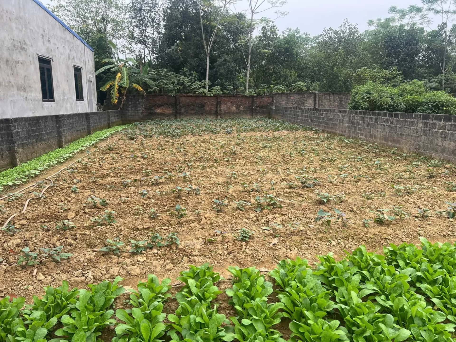 Bán đất Thôn Xuân Linh Huyện Chương Mỹ, TP. Hà Nội – giá 5.4 tỷ