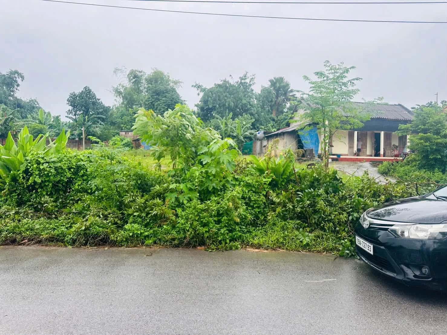Bán đất đường tỉnh 315 Huyện Tam Nông, Phú Thọ – giá 788 triệu