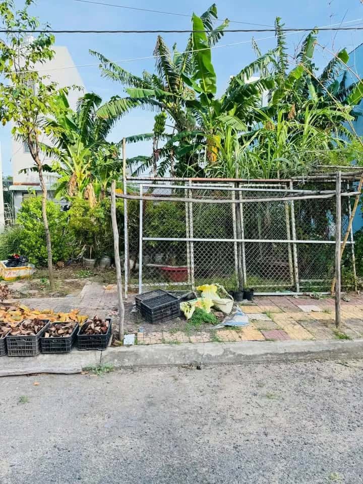 Bán đất đường số 5 TTTM Phong Điền Huyện Phong Điền, TP. Cần Thơ – giá 1.3 tỷ