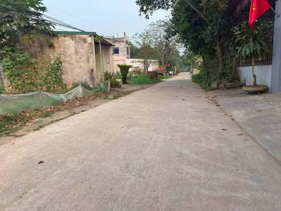 Bán đất Khu Vũ Yến Huyện Thanh Ba, Phú Thọ – giá 500 triệu