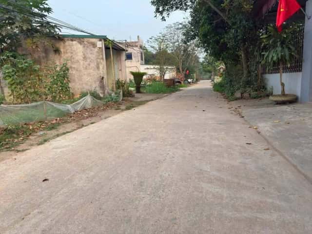 Bán đất Khu Vũ Yến Huyện Thanh Ba, Phú Thọ – giá 500 triệu