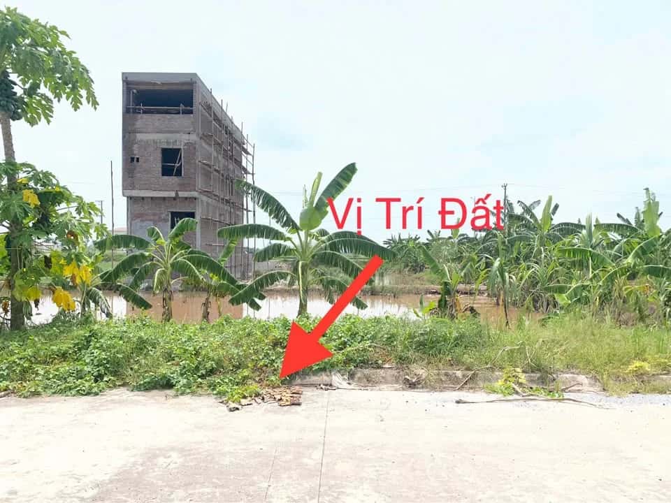 Bán đất Xóm 9 Huyện Kim Sơn, Ninh Bình – giá 1.2 tỷ