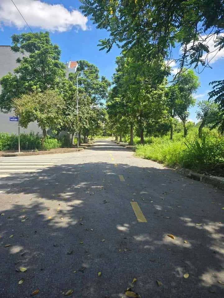 Bán đất Lô LK 16-22 KDC Đại An Thành phố Hải Dương, Hải Dương – giá 3.2 tỷ