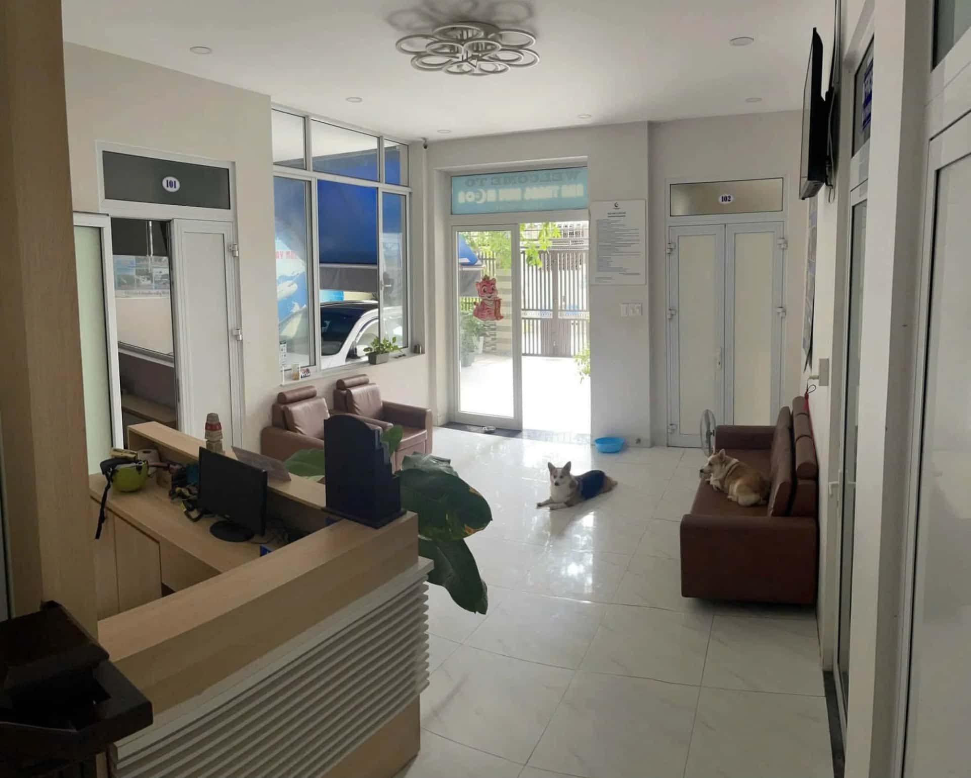 Bán nhà hẻm Dã Tượng Thành phố Nha Trang, Khánh Hòa – 12 phòng ngủ, giá 24 tỷ