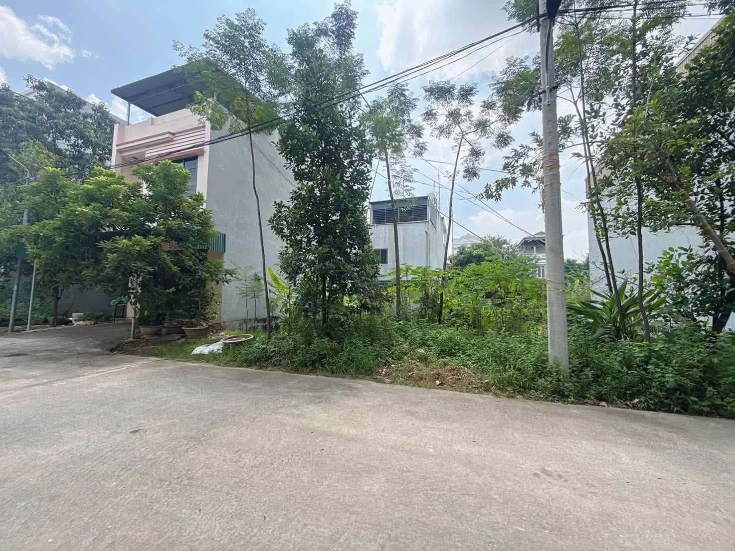 Bán đất Đồng Vũ, khu 14 Thành phố Việt Trì, Phú Thọ – giá 3.3 tỷ