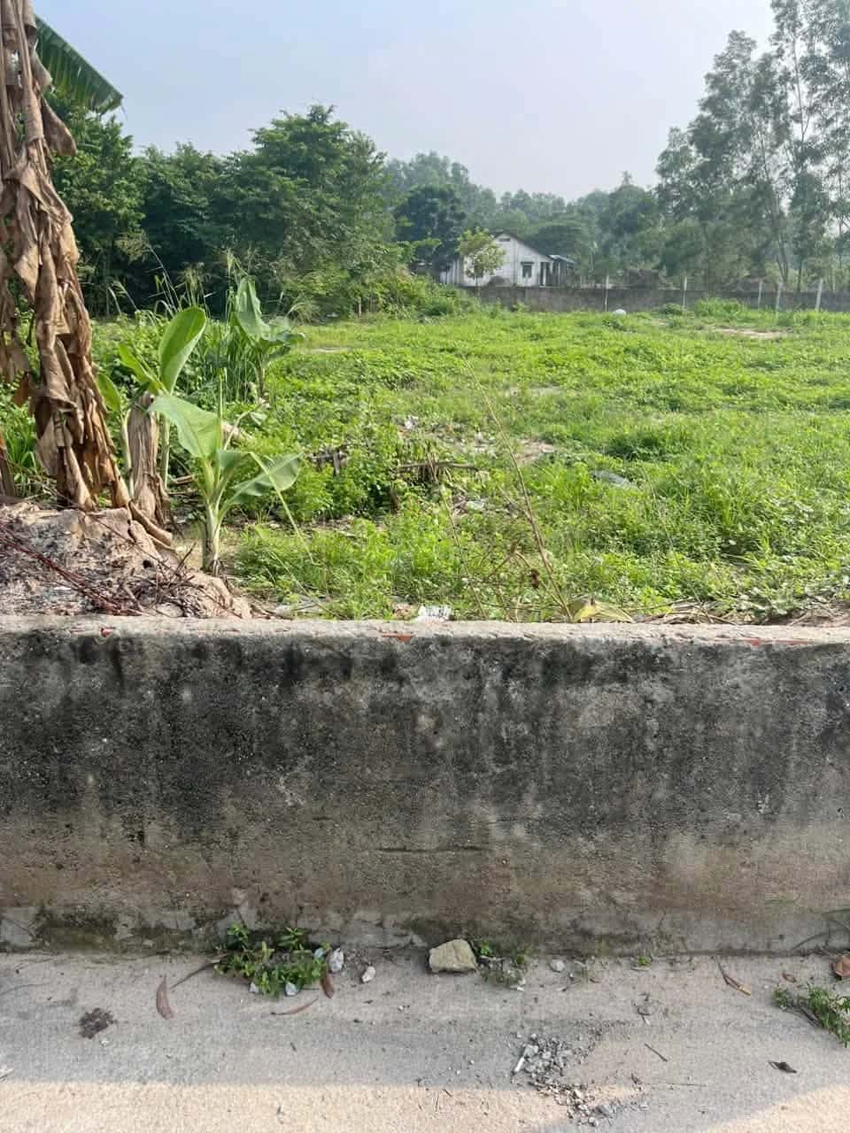 Bán đất Phú An 47 Thành phố Bến Cát, Bình Dương – giá 2.8 tỷ
