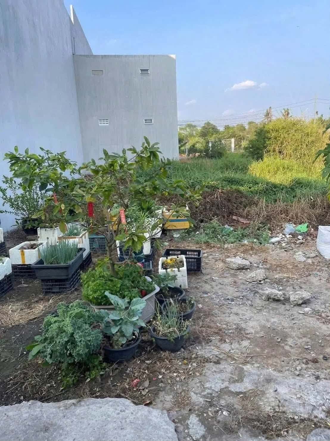 Bán đất Hẻm 239 Nguyễn Văn Rành Thành phố Tân An, Long An – giá 780 triệu
