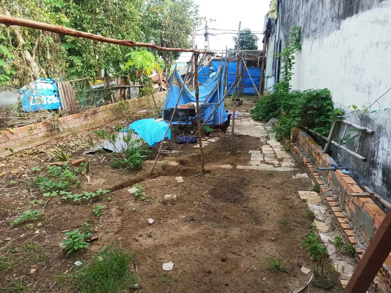 Bán đất hẻm đường Trần Quang Đạo  Huyện Cần Giờ, TP.HCM – giá 1.8 tỷ
