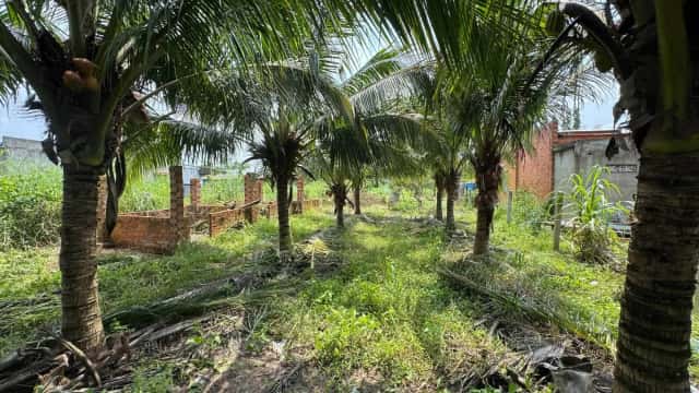 Bán đất đường Trà Võ - Đất Sét Huyện Gò Dầu, Tây Ninh – giá 1.1 tỷ