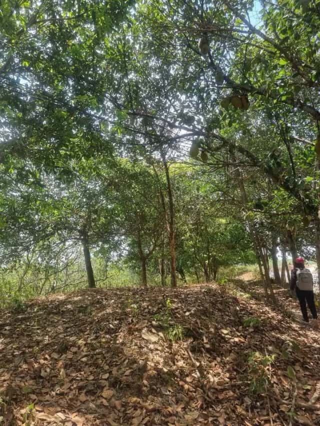 Bán đất Quốc lộ 27C, thôn Đá Trắng Huyện Khánh Vĩnh, Khánh Hòa – giá 5.1 tỷ