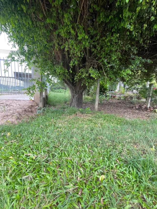 Bán đất đường ĐT781 Huyện Châu Thành, Tây Ninh – giá 3.8 tỷ