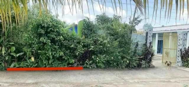 Bán đất hẻm Bùi Tấn  Thành phố Tân An, Long An – giá 600 triệu
