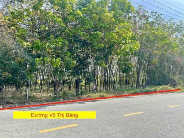 Bán đất Võ Thị Bàng Huyện Củ Chi, TP.HCM – giá 4.2 tỷ