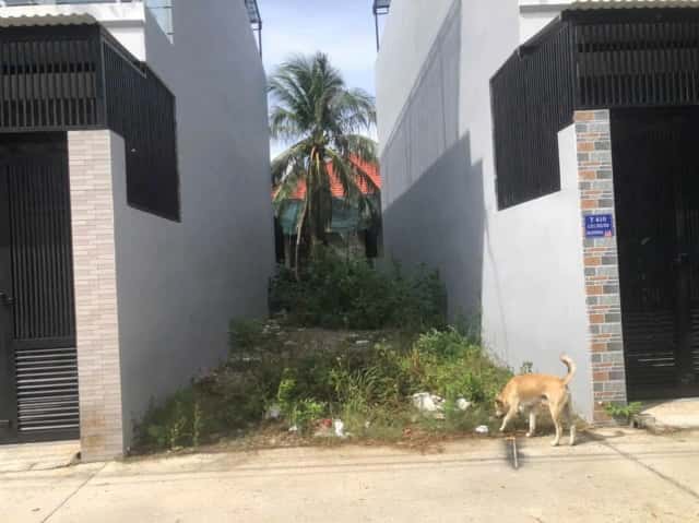Bán đất Số 131/33/33 Đường 2/4 Thành phố Nha Trang, Khánh Hòa – giá 2.7 tỷ