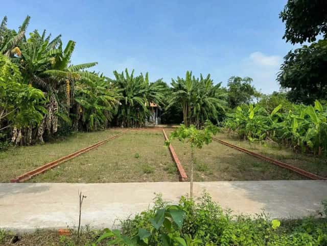 Bán đất Huỳnh Thị Luông Huyện Cần Giuộc, Long An – giá 750 triệu