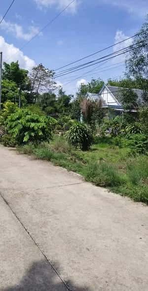 Bán đất đường Cây Trường  Huyện Bàu Bàng, Bình Dương – giá 699 triệu