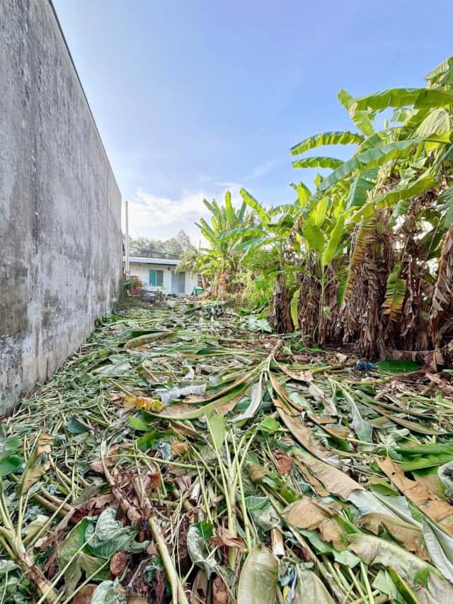 Bán đất Hẻm Số Đỏ Cồn Khương Quận Ninh Kiều, TP. Cần Thơ – giá 930 triệu Bán đất Hẻm Số Đỏ Cồn Khương Quận Ninh Kiều, TP. Cần Thơ – giá 930 triệu
