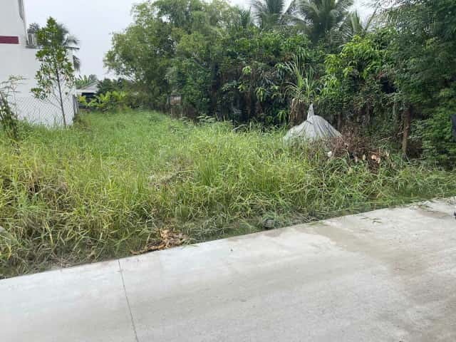 Bán đất Ấp Phước Vĩnh Huyện Cần Đước, Long An – giá 1.9 tỷ