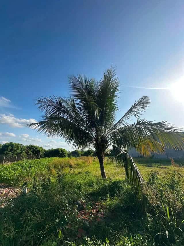 Bán đất Hẻm 19 đường Trường Đông  Thị xã Hòa Thành, Tây Ninh – giá 460 triệu