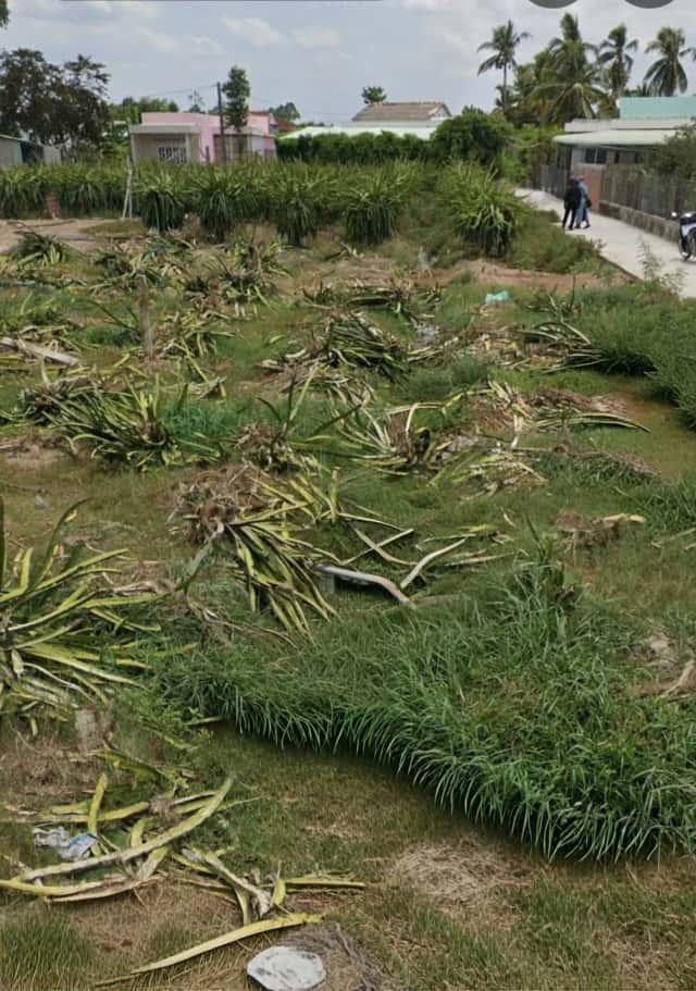 Bán đất Ấp Cầu Đúc Huyện Châu Thành, Long An – giá 450 triệu