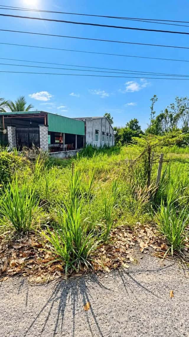 Bán đất Cầu Ô Huyện Gò Dầu, Tây Ninh – giá 1.5 tỷ