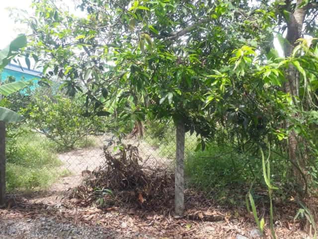 Bán đất Hẻm 88 Nguyễn Văn Linh  Thị xã Hòa Thành, Tây Ninh – giá 550 triệu