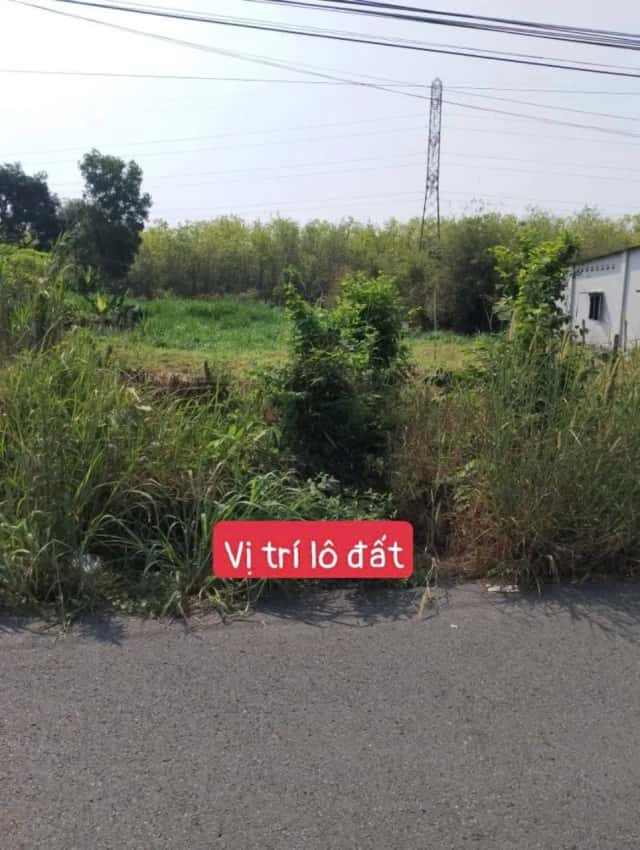Bán đất Bàu Lách Huyện Củ Chi, TP.HCM – giá 12.5 tỷ